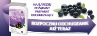 /album/photogallery/acai-berry-750mg-pl-600x225-jpg/